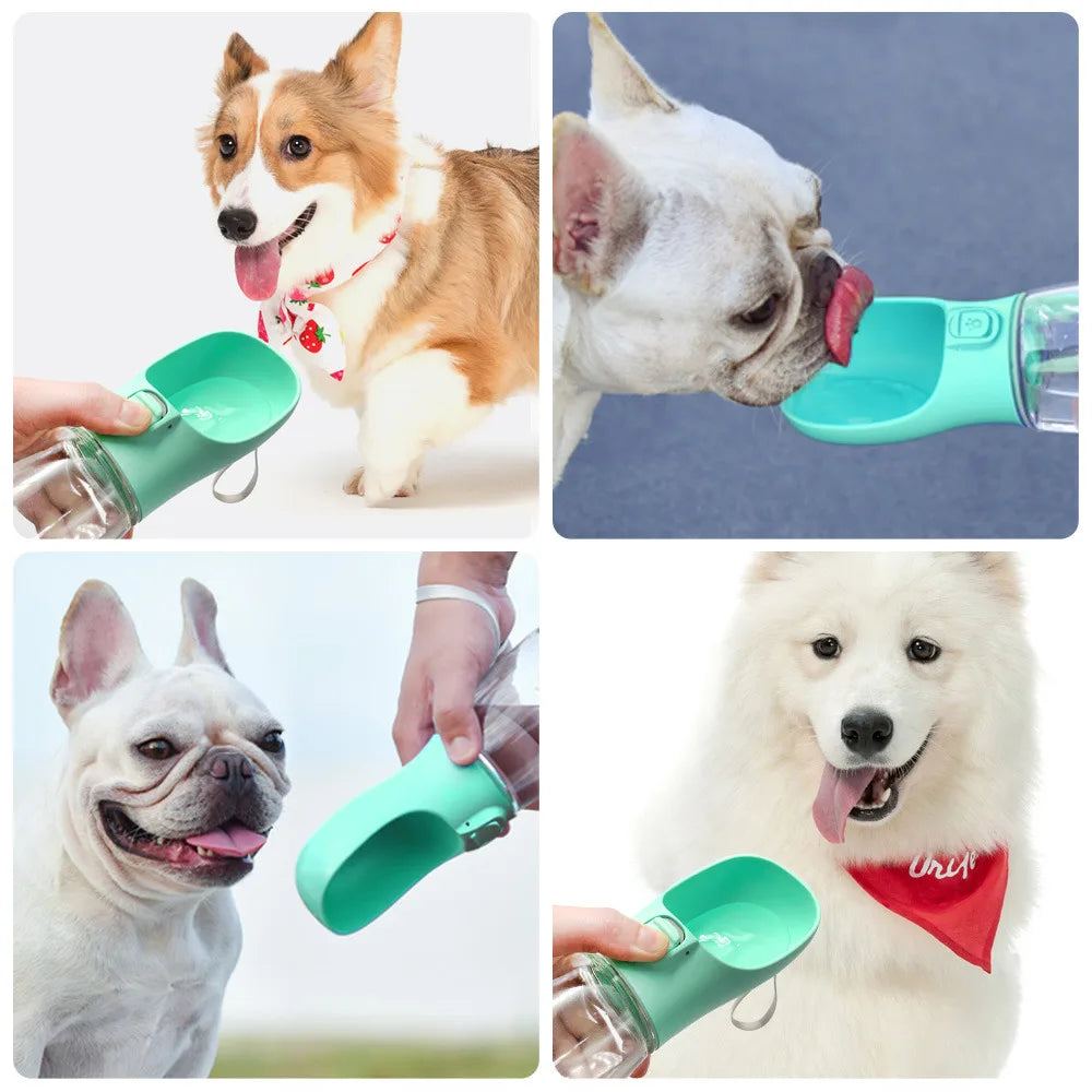 🌟 ALPHABAYY Universal Dog Water Bottle & Feeder